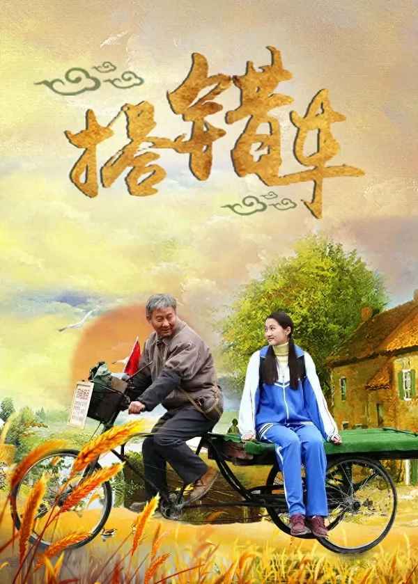 以前的好看的電視劇(以前好看的電視劇推薦經(jīng)典)