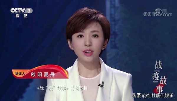 离职的央视男主持人(从央视离职的男主持人有哪些)