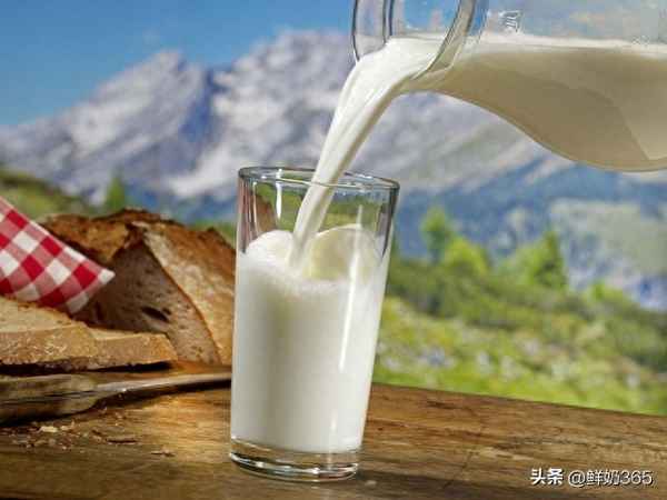 学校订的牛奶什么牌子;学校订购的学生奶品牌