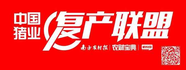 沃爾瑪豬肉供應(yīng)商-深圳沃爾瑪豬肉供應(yīng)商