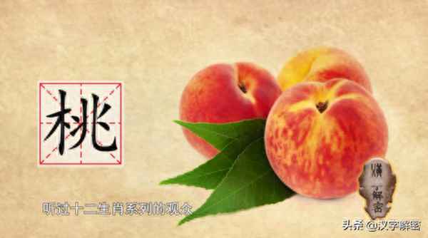 南国有佳人的诗句、南国有佳人打一曹植诗句