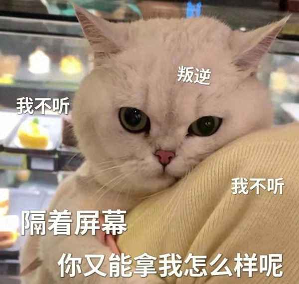 員工給公司的十條建議—公司讓員工提建議怎么寫