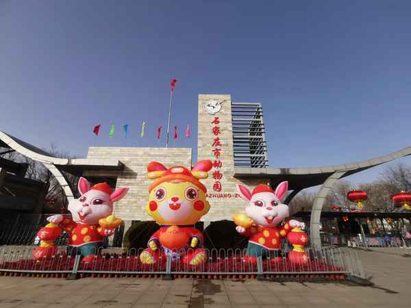 石家莊極地海洋館在哪里—石家莊極地海洋館在哪里預約