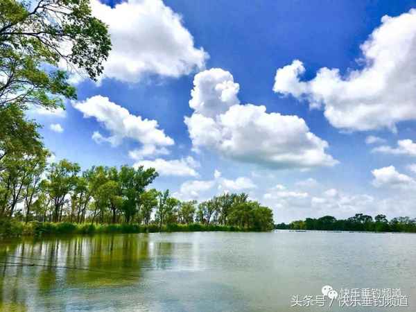 河边钓螃蟹的最快方法-螃蟹爱吃的10种食物
