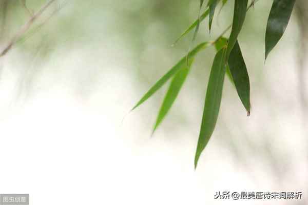独坐幽篁里弹琴复长啸全文,独坐幽篁里弹琴复长啸全诗