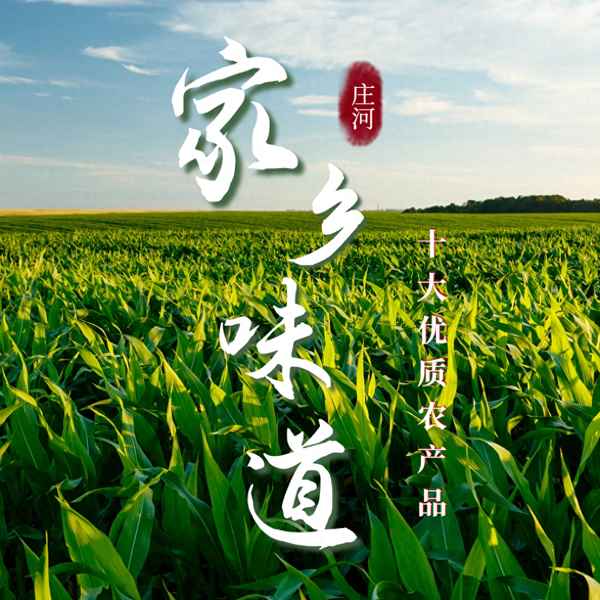 大連食用鹽最好品牌-大連制鹽廠