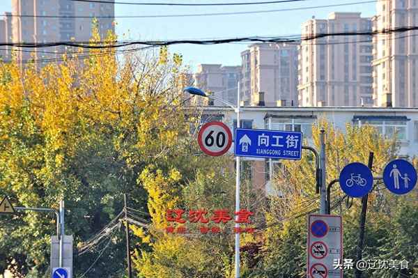 沈阳早市哪个最好(沈阳市哪个早市最大最火)