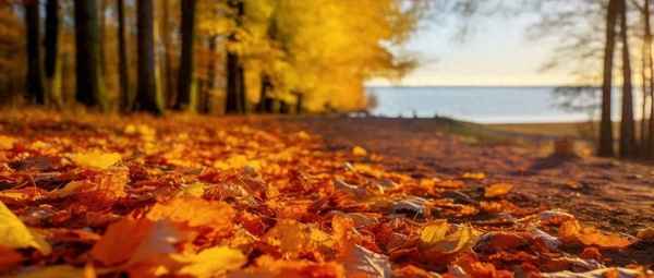 十月出去旅游优美的句子(10月出游说说)