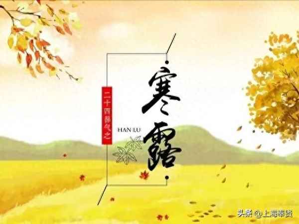 銀杏煲雞湯的好處—銀杏燉雞會有毒嗎