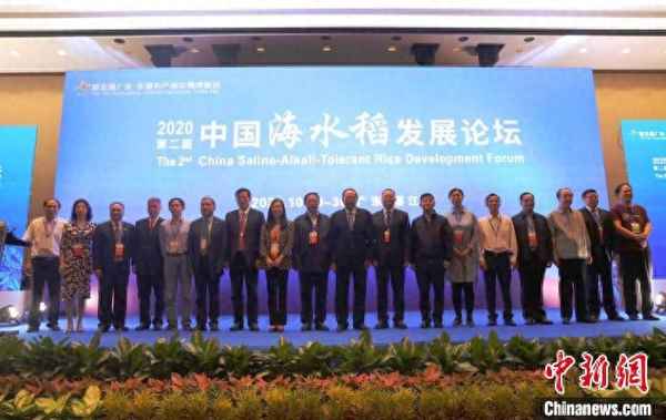 嗨水稻發(fā)源地在什么地方;海水稻是什么時候開發(fā)的