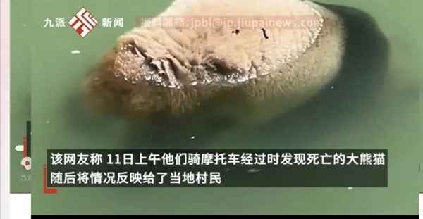 雅安焦点新闻、雅安新闻频道