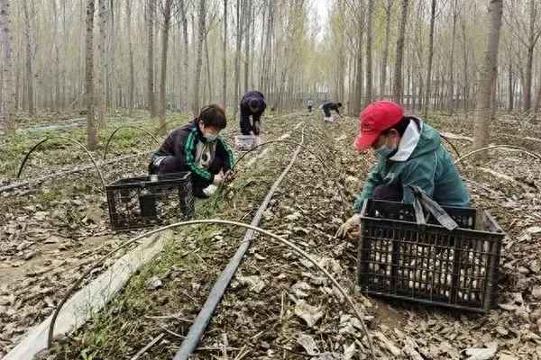 定興焦點新聞,定興縣新聞視頻