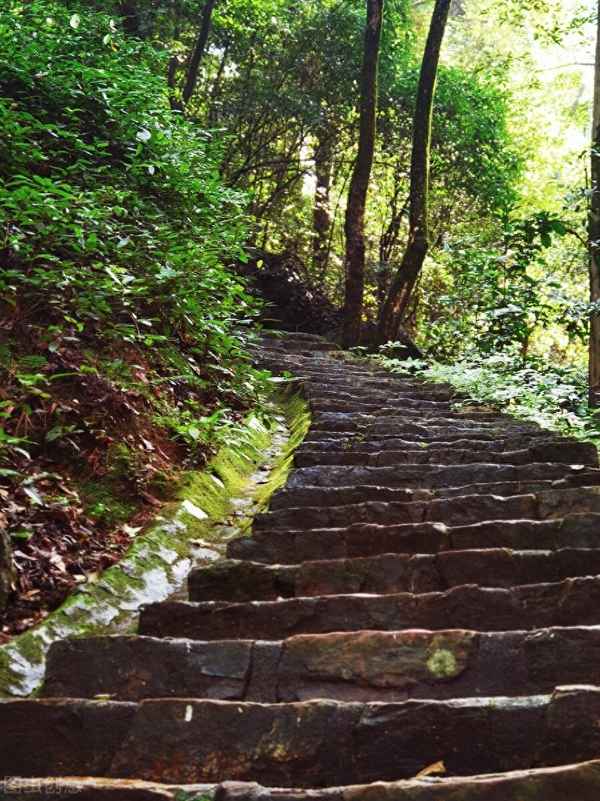 箫鼓追随春杜近衣冠简朴古风存(箫鼓追随春社近衣冠简朴古风存展现的画面)