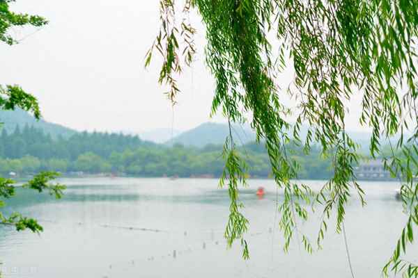 闻折柳是什么意思、春夜洛城闻笛的闻折柳是什么意思