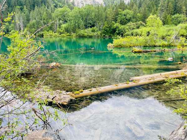 九寨沟开车去方便吗;开车去九寨沟旅游大概多少费用