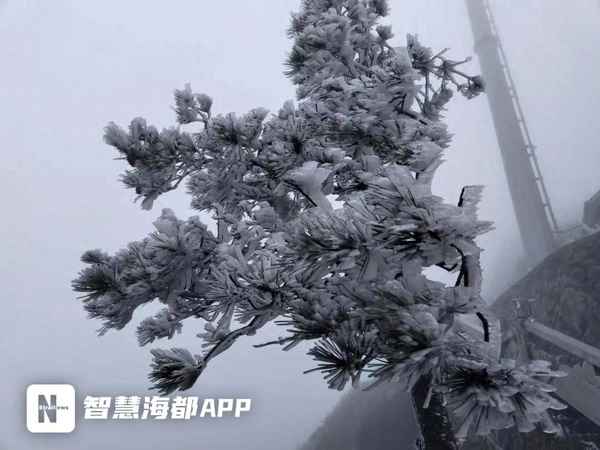 德化九仙山風景區介紹_國慶九仙山風景區德化門票