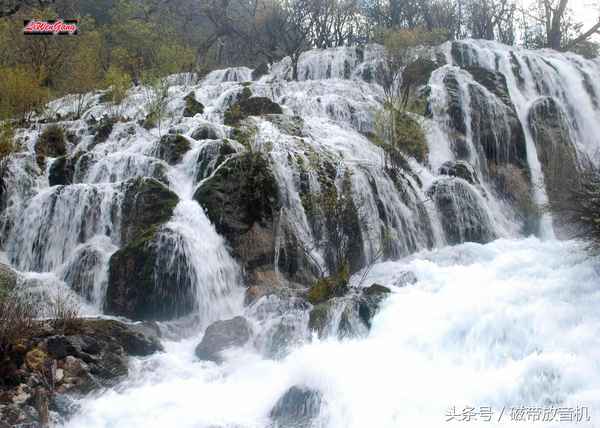 我再次来到风景优美的九寨沟(我来到九寨沟出现在眼前是神奇的一幅画卷改病句)