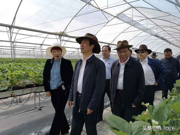 湖南省株洲市第9批援藏干部、湖南省株洲市第9批援藏干部是誰