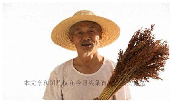 讓哥感動到哭的留言_高情商夸大哥的句子