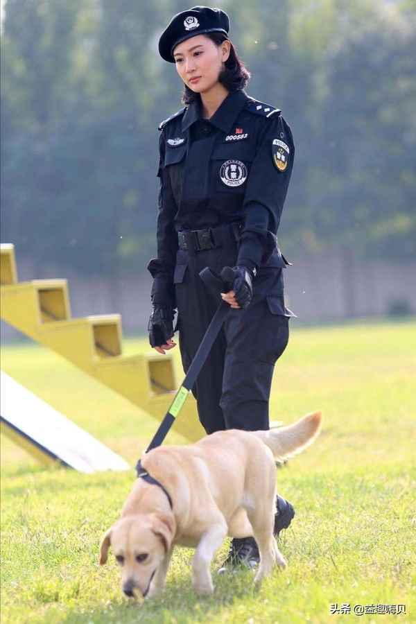 警花與警犬電視劇_警花與警犬電視劇免費觀看