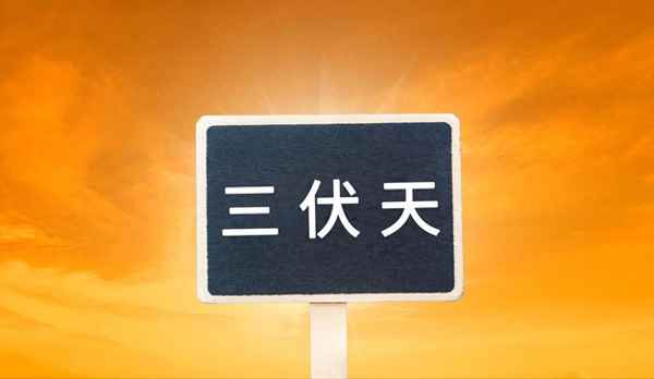 2023年三伏天口訣-2023年三伏天是從幾月開始的