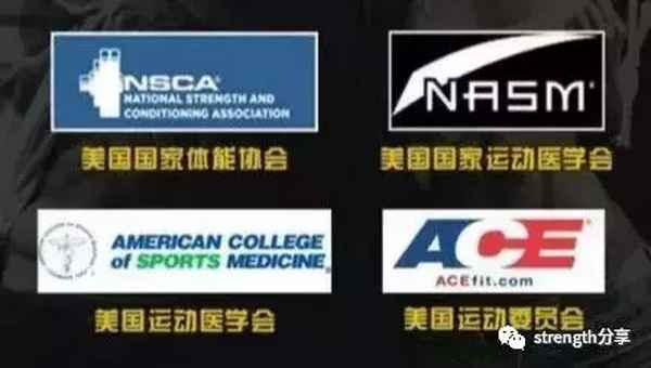ace教育體系(ace課程體系)