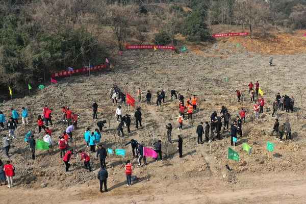 植樹節可以開展哪些活動、植樹節開展哪些活動呢
