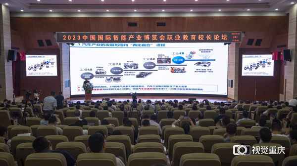 專業汽車,專業汽車美容的含義