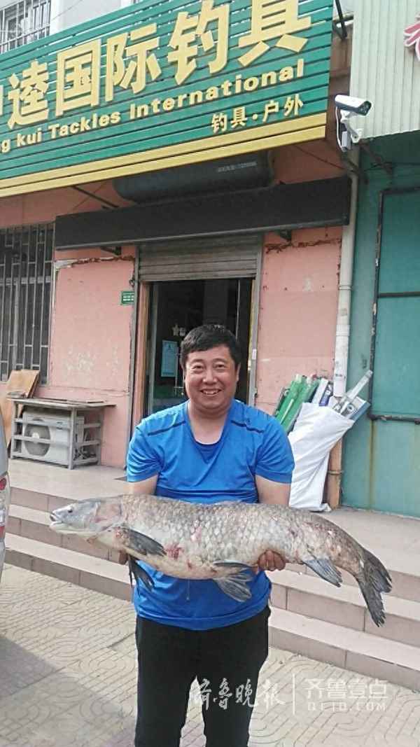 青魚都是可以怎么吃(青魚如何吃)