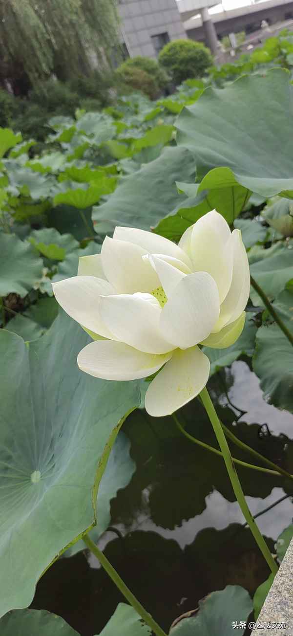 8203暗示是什么意思(8203号码吉利吗)