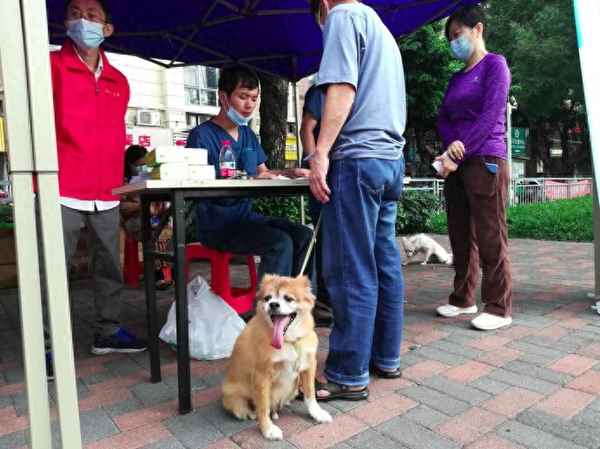 社區(qū)開展文明養(yǎng)犬宣傳活動—社區(qū)開展文明養(yǎng)犬宣傳活動方案