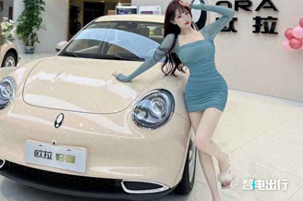大眾甲殼蟲2023款價格(長城甲殼蟲汽車2022款報價)
