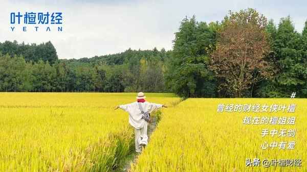 叶燕财经(叶擅财经)