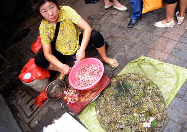 4元-斤都没人抓蛙、5000元抓蛙