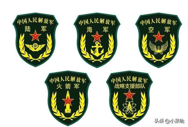 特種兵王電視劇—特種兵王電視劇免費觀看完整版高清