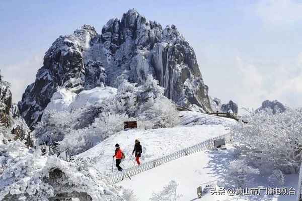 黃山門票免費政策2023_黃山門票免費政策2023年