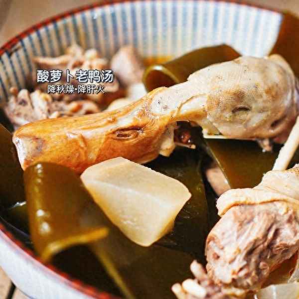 酸羅酸蘿卜老鴨湯—酸羅酸蘿卜老鴨湯有哪些配菜
