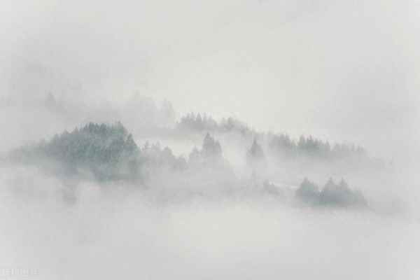 满堂花醉三千客下一句_满堂花最三千客