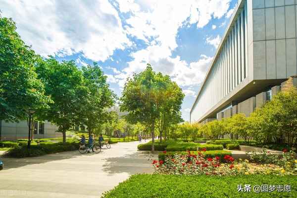 东北财经大学好就业吗、东北财经大学好找工作吗？