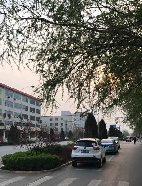 容城县房产—容城县房产局电话