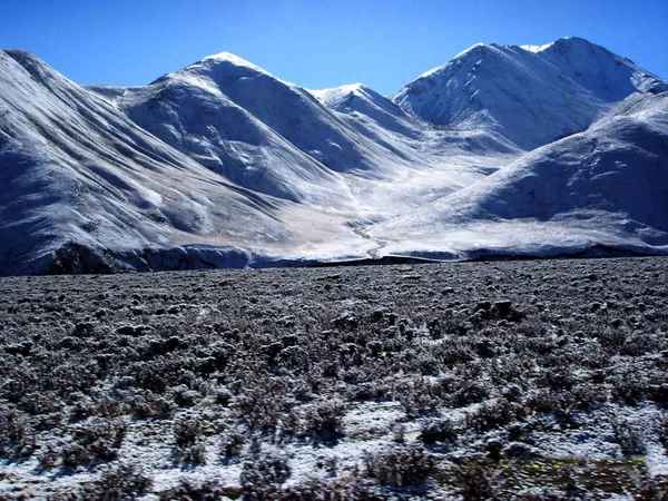 七一冰川的历史背景;七一冰川全景图