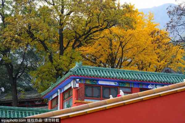 秋天哪里好玩景点-秋天哪里景色好