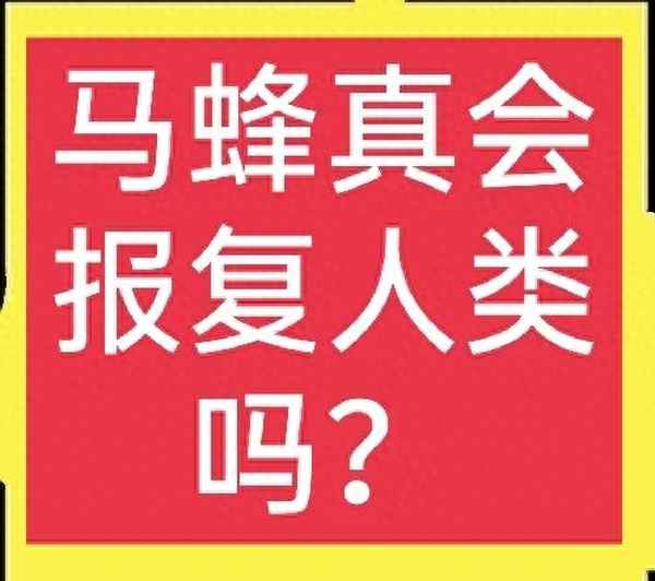 把蜜蜂赶走蜜蜂会记仇吗_蜜蜂赶走了还会回来吗