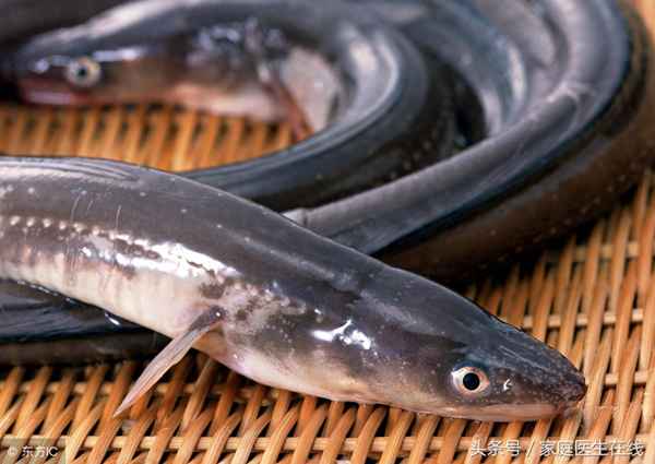 鰻魚的10種家常做法,清蒸鰻魚正宗的做法