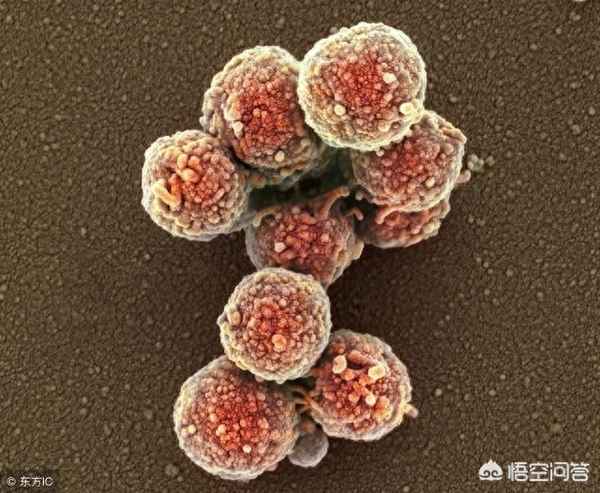 肺炎支原体耐药的治疗方法;肺炎支原体耐药了就没救了吗