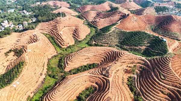 容縣焦點新聞(容縣焦點新聞最新消息)