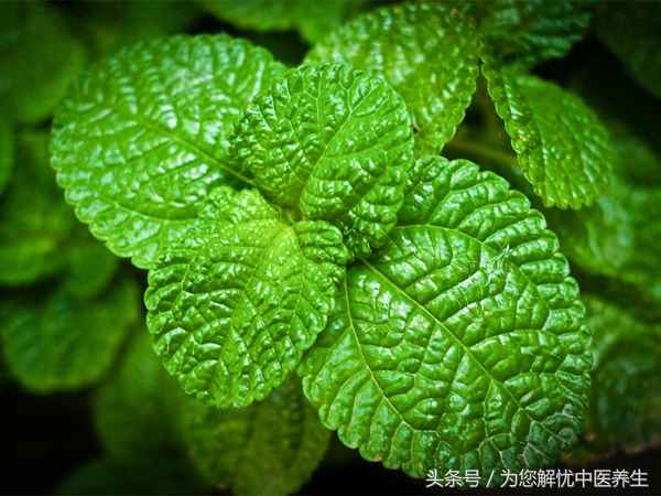 芒硝外敷的神奇功效,芒硝的功效与作用与主治