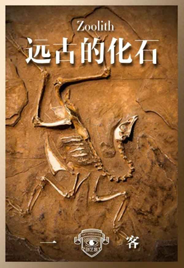關(guān)于化石的知識20字,關(guān)于化石的知識20字有哪些