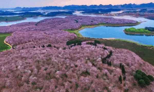 唯有相思似春色下一句诗是什么—惟有相思似春色全诗