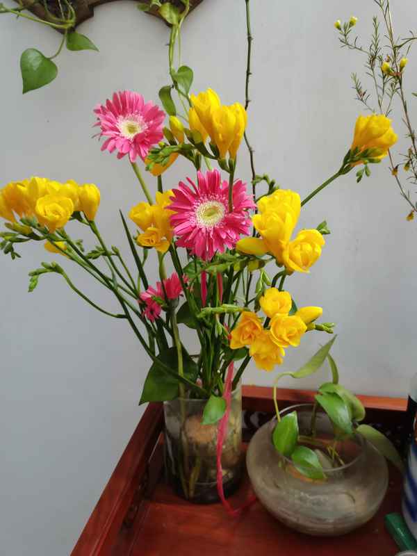 反感别人用我卫生间马桶—不喜欢别人用我的卫生间